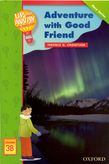 Up and Away Readers Level 3
