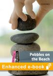 Dominoes Quick Starter Pebbles on the Beach e-book cover