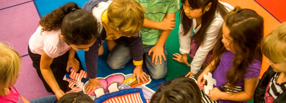 Motivation and Social learning